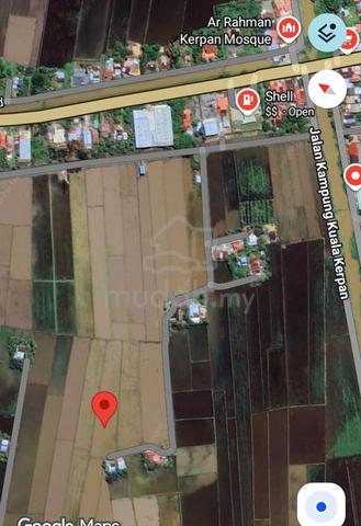 Tanah Bendang di Kerpan KEDAH untuk Dijual 1