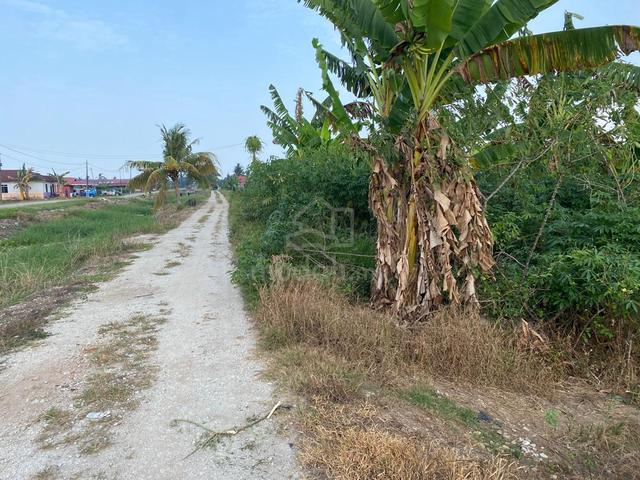 Tanah Pertanian di Pasir Panjang Sekinchan 2.94 ekar For Sale 1
