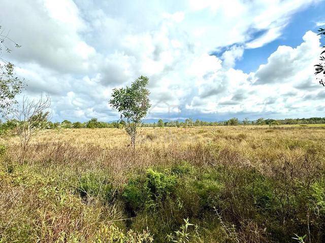 NT Vacant Land | 3.39 acres | Flat Land | Laya Laya | Sulaman | Tuaran 1