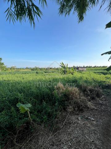 Tanah dijual 1
