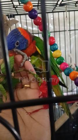 Carousel Image