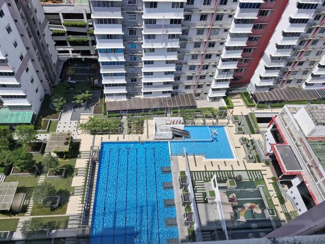 Koi Kinrara 1