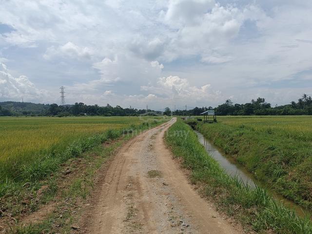 2 Lot tanah bendang, Kota Lama Kiri, Kuala Kangsar, Perak 1