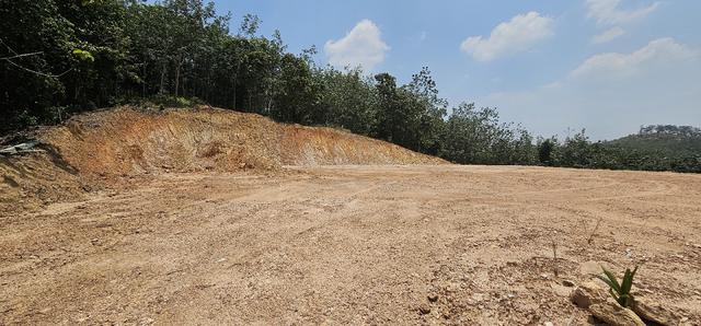 Tanah 1 Relung untuk disewa bagi projek pertanian atau penternakan  1