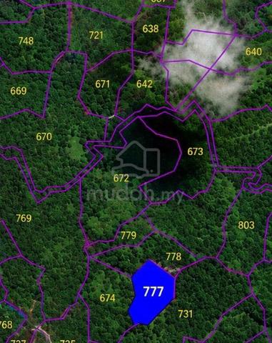 Sarawak Sarikei Agricultural Freehold Land For Sale 1