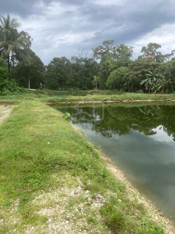 Land with Ready-Made Fish Pond for Sale (Karangan, Kedah) 1