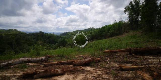 187 acres | Meridian Plantation | Tengkarason | Paitan | Flat Land 1