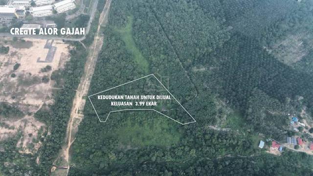 Tanah Pertanian untuk dijual di Simpang Ampat dekat Afamosa Resort 1