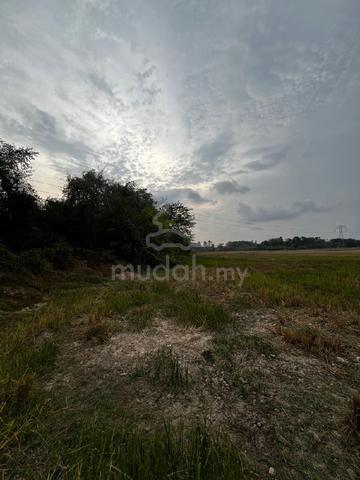 Tanah Bendang Rizab Antarabangsa Murah 1