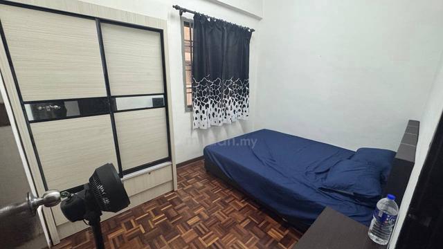 Brand New Co-Living . Tampoi. Perling. Sutera Middle ROOM Rental 1
