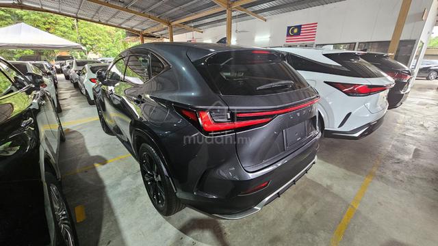 2023 Lexue Nx350 F sport 4.5Grade 31k km - 5