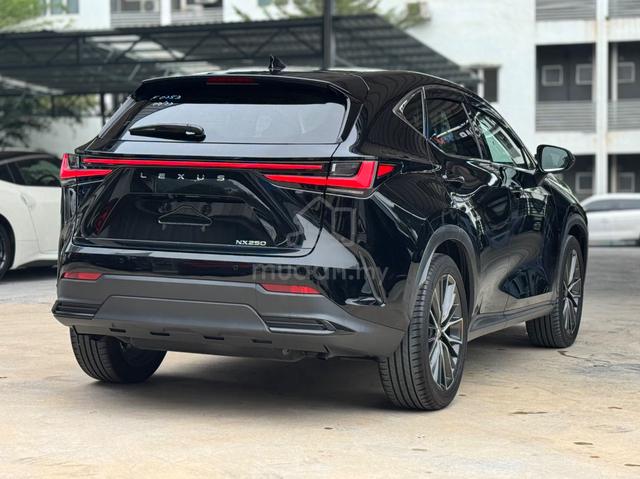 2022 Lexus NX250 Version L 2.5 / Black Interior - 5