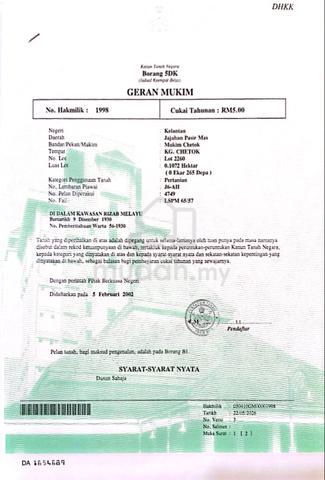 Tanah pertanian untuk dijual-Kg Chetok Pasir Mas Kelantan 1