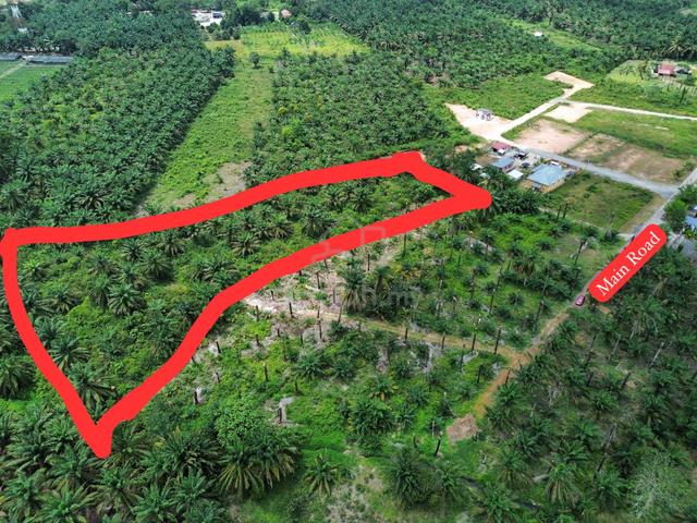 KAMPUNG SETIA JAYA MAJU JAYA Pekan Nanas 1.7 Ekar 1