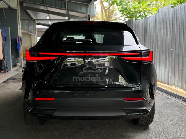 2023 Lexus NX 250 2.5 LUXURY (A) - 4