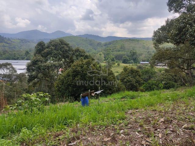 Durian Orchard For Sale – Titi, Negeri Sembilan 🌳 1