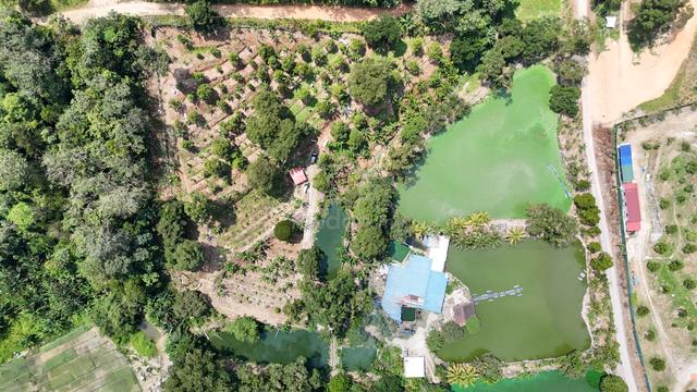 3.76 ac non bumi durian farm with 5 ponds with access in Hulu Langat 1