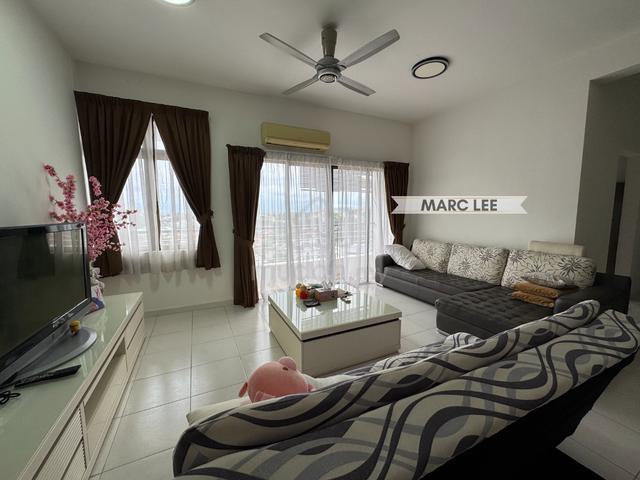 Palm Palladium 1