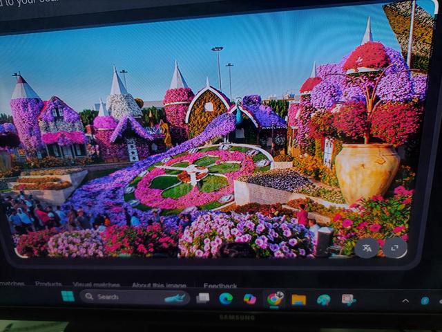 Carousel Image Selected