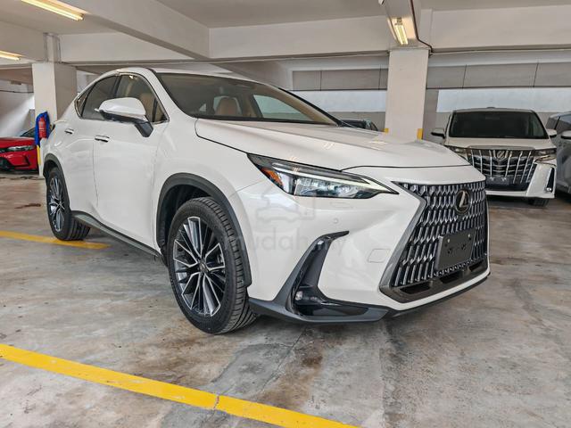 2023 Lexus NX 250 2.5 Version L, Brown Interior - 2