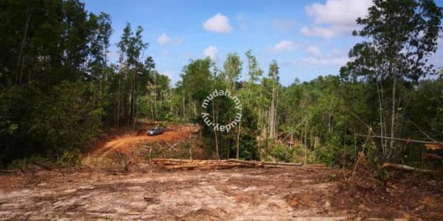 187 acres | Agricultural flat land | Tengkarason | Paitan | Beluran 1