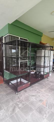 Carousel Image