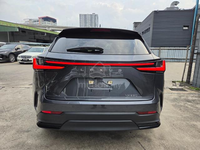 GREY 2022 Lexus NX250 2.5 LUXURY Selling Fast now - 4