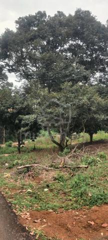 Tanah Kebun Buah Kampung Sri Cahaya Kluang Tepi Jalan 1