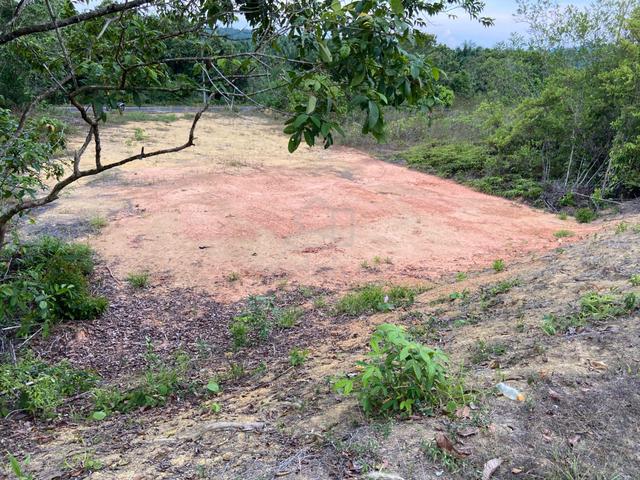 Tanah Tapak Kediaman Untuk Dijual 1
