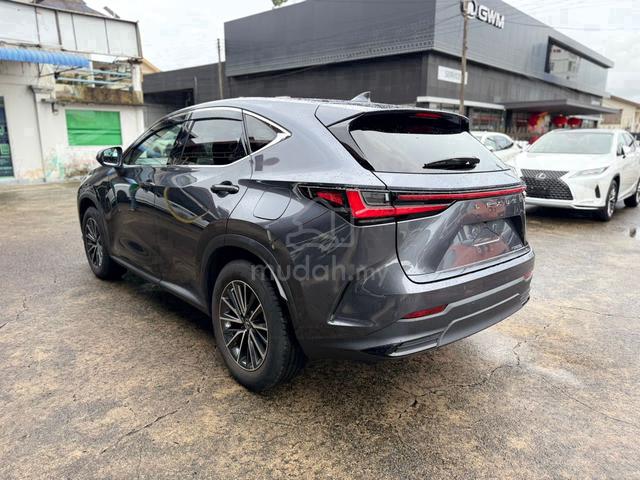 2022 Lexus NX 250 2.5 LUXURY (A) - 3