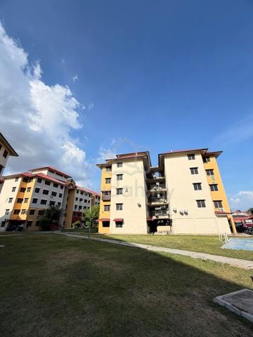 Pauh Damai 1