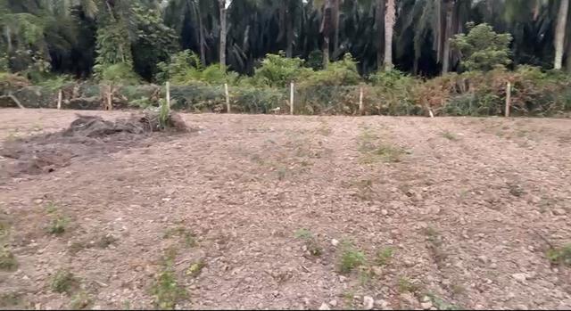 Lot FREEHOLD Berdekatan Masjid di Jln Simpang 3 Jeram Utk di Jual 1