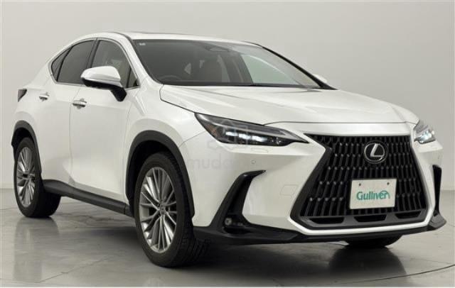 2022 Lexus NX 250 2.5 LUXURY NX250 VERSION L - 1