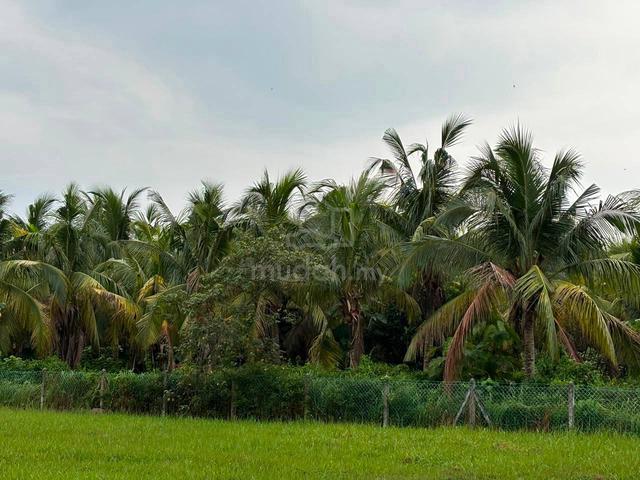 Melaka Kuala Linggi Nusa Dusun Orchard Resort Flat Agricultural Land 1