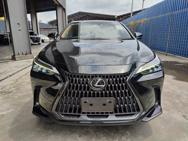 2023 Lexus NX 250 2.5 LUXURY NX250 CHEAPEST DEAL - 3
