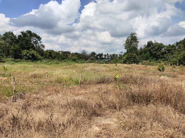 Tanah Pertanian/Kebun Pandan airport Kuantan 1