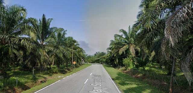 63 Acres Development Land, Sungai Kechil, Bukit Panchor, Nibong Tebal 1