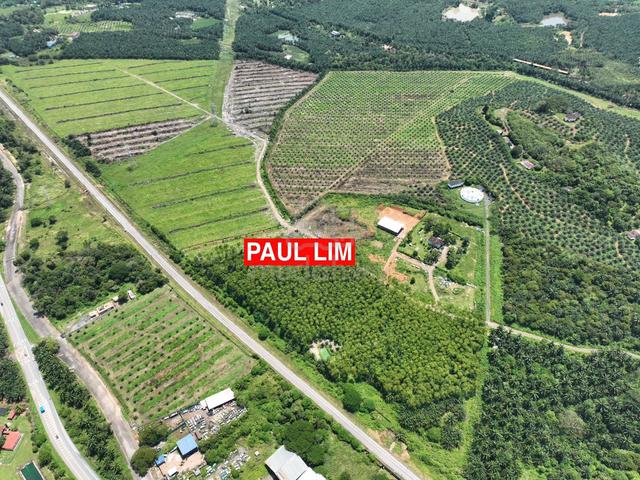 LAND SALE At BEDONG NEAR SEKOLAH SUNGAI TOK PAWANG 98.95 ACRE 2