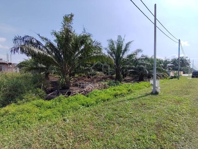 FLAT LAND INFRA READY 97327ft Agricultural Land Kuala Langat 4