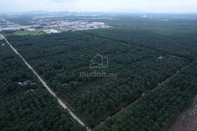INFRA READY BUMI 127 acres Land Kuala Langat 2