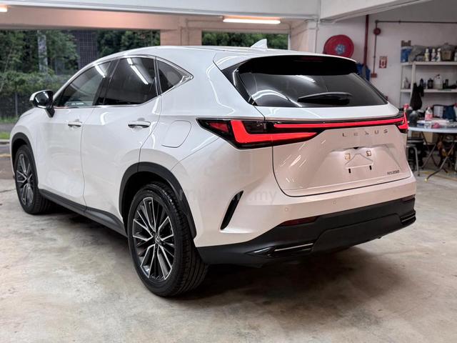 2023 Lexus NX250 VERSION L W/BLACK DIM GRADE 4.5 - 2