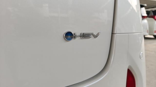 2025 Toyota Alphard 2.5 Z HYBRID HEV - SIDE STEP - 4