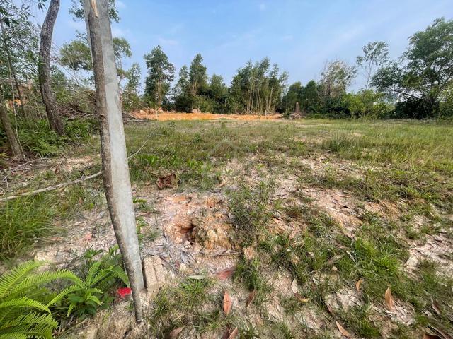 Bawah RM300K dah boleh miliki Lot Banglo Geran Individu Di Puchong 1