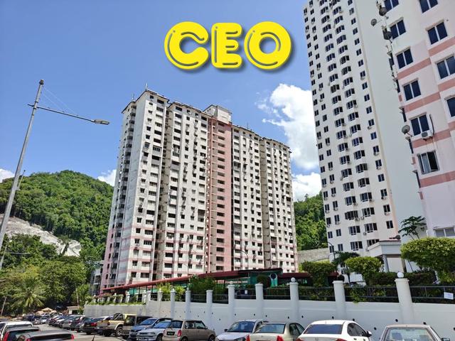 Greenlane Heights 1