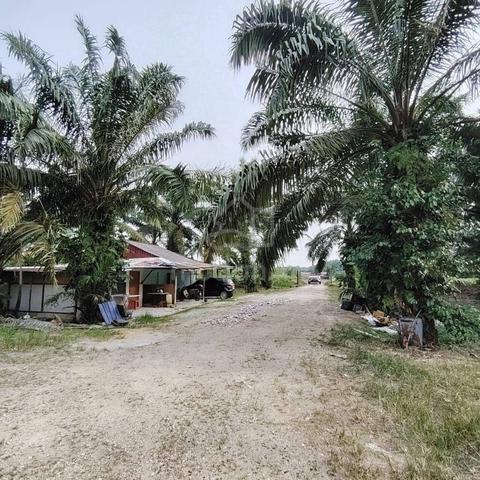 4.84 Acres Agriculture Land @ Jalan Kampung Parit Jawa, Pontian Johor 1
