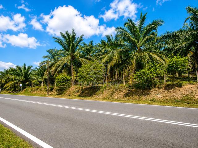 Freehold Non-Bumi | Tanah Pembangunan Zon Kediaman | Bukit Bakri Muar 1