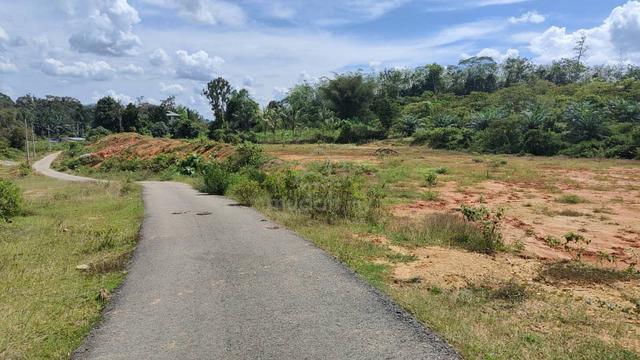 Pahang Lanchang Agricultural Freehold Land For Sale 1