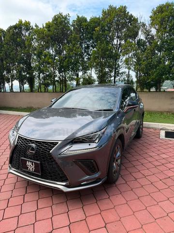 2020 Lexus NX300 2.0 F SPORT MY15 (A) - 2