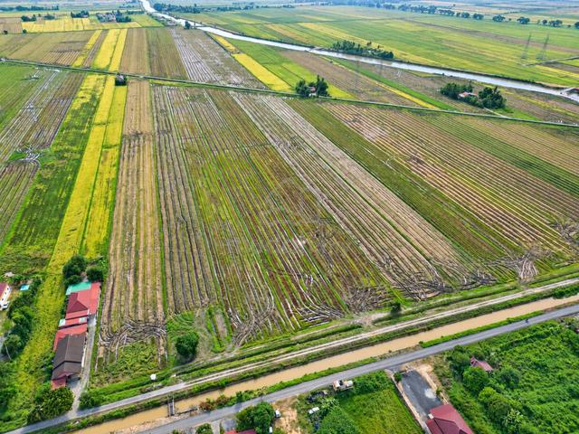 Guar Chempedak Kampung Batu 18, Dekat Longwan Tanah Kongsi Geran 1