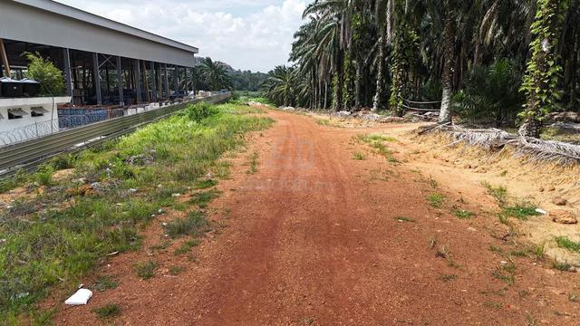 JLN ULU PULAI, GELANG PATAH, 9 ACRES Agricultural Land FOR SALE 1